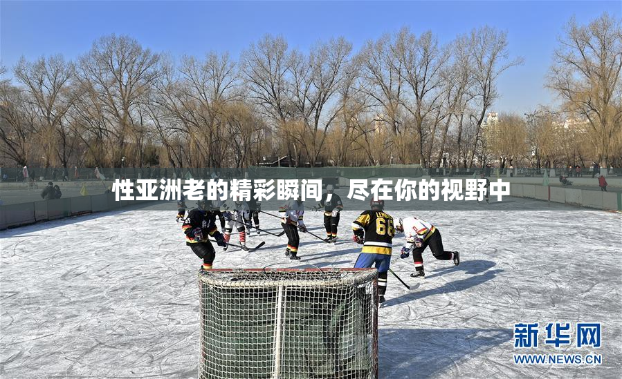 性亚洲老的精彩瞬间，尽在你的视野中