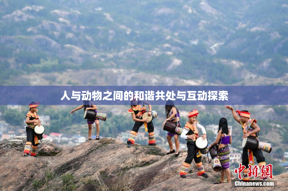 人与动物之间的和谐共处与互动探索