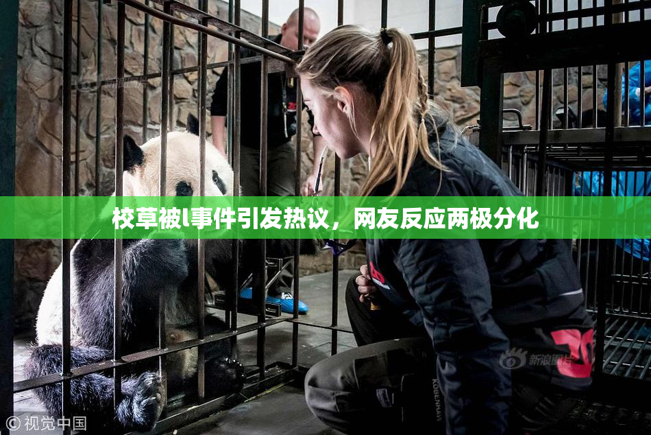 校草被l事件引发热议，网友反应两极分化