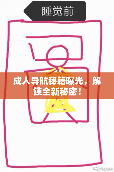 成人导航秘籍曝光，解锁全新秘密！