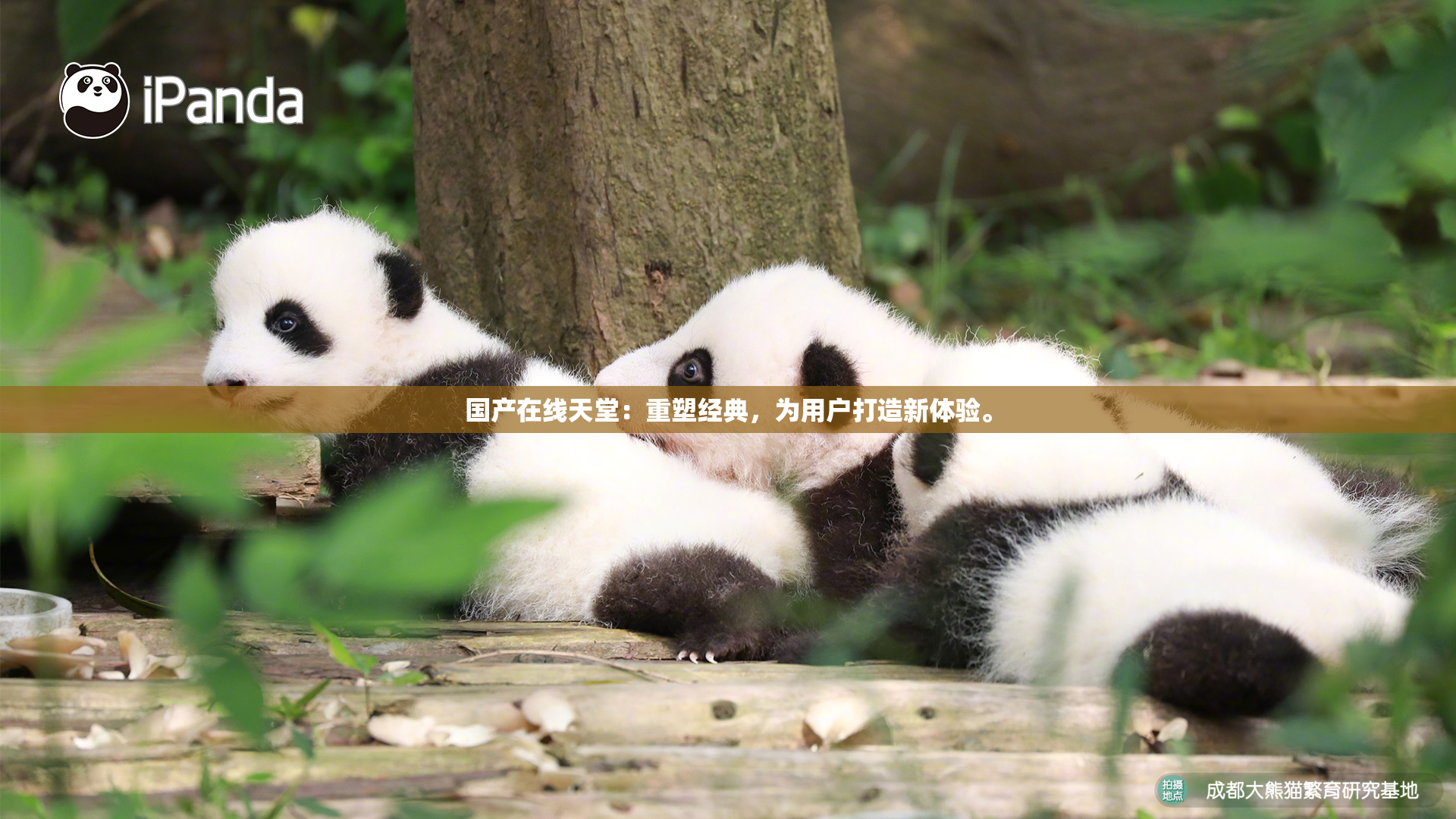 国产在线天堂：重塑经典，为用户打造新体验。
