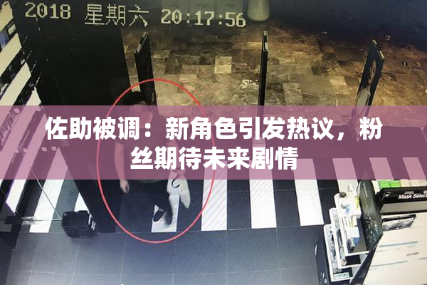 佐助被调：新角色引发热议，粉丝期待未来剧情