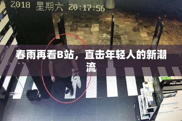 春雨再看B站，直击年轻人的新潮流