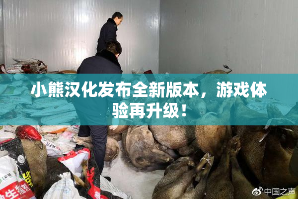 小熊汉化发布全新版本，游戏体验再升级！