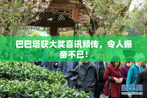 巴巴塔获大奖喜讯频传，令人振奋不已！