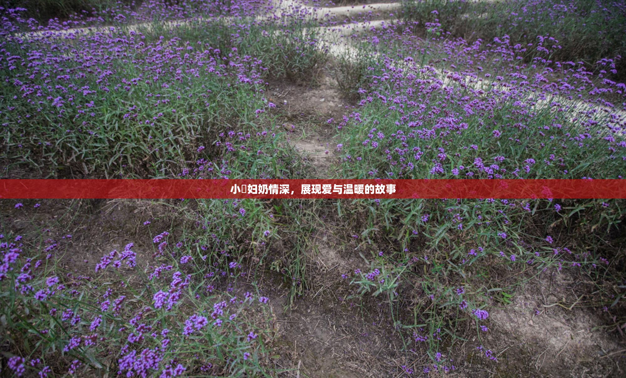 小婬妇奶情深，展现爱与温暖的故事