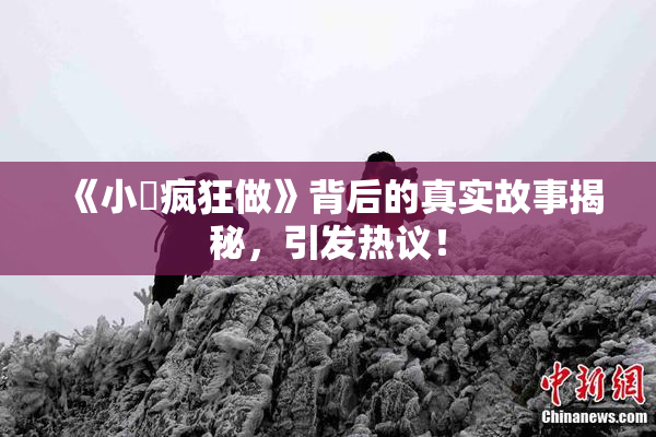 《小泬疯狂做》背后的真实故事揭秘，引发热议！