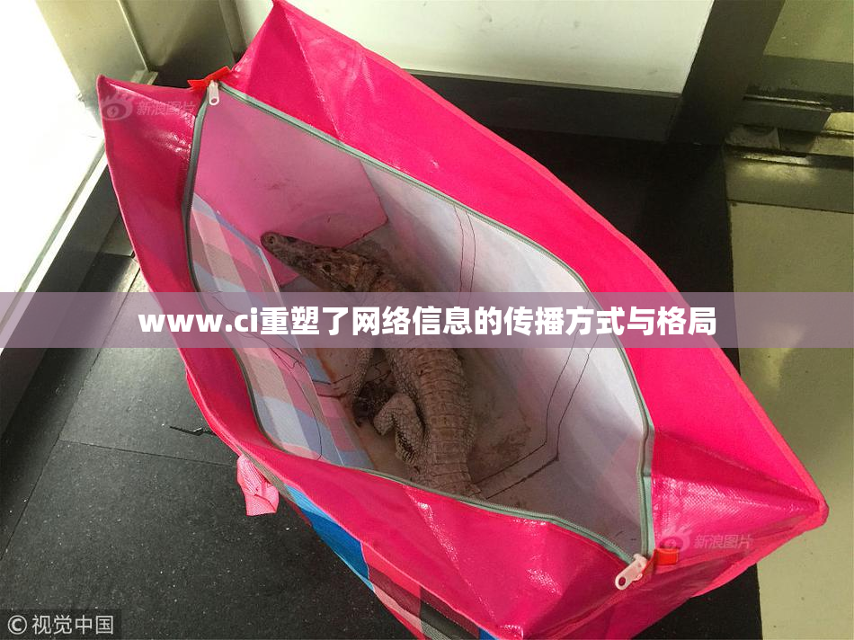 www.ci重塑了网络信息的传播方式与格局