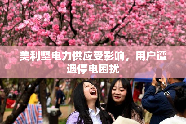 美利坚电力供应受影响，用户遭遇停电困扰