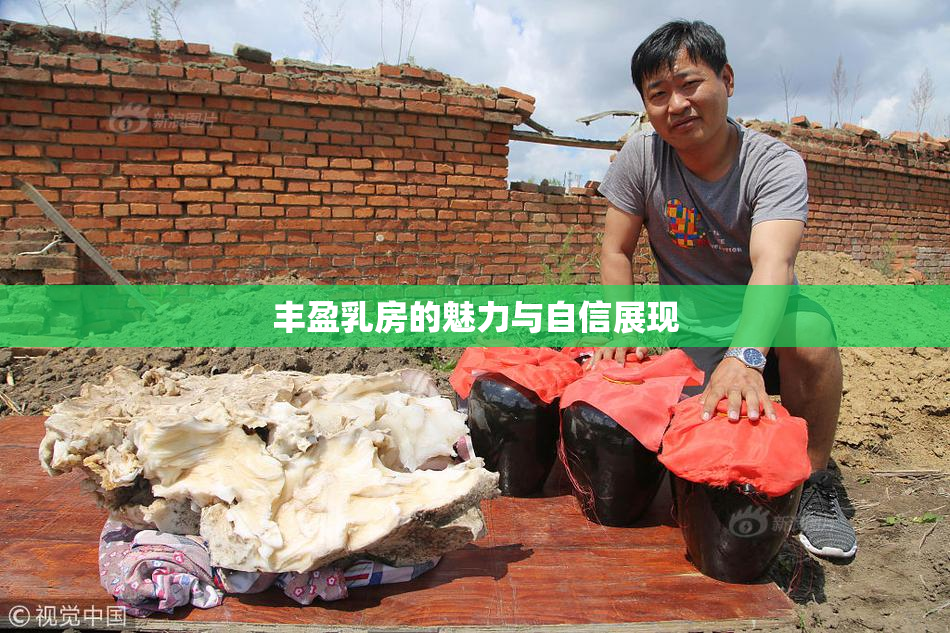 丰盈乳房的魅力与自信展现