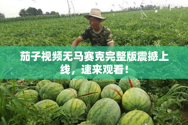 茄子视频无马赛克完整版震撼上线，速来观看！