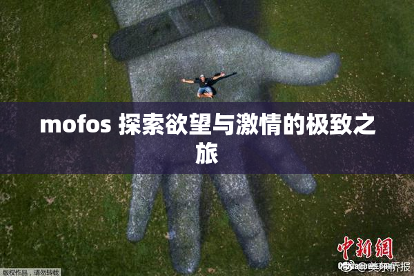 mofos 探索欲望与激情的极致之旅