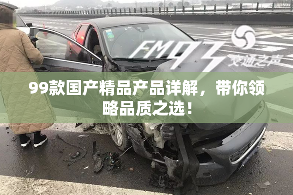 99款国产精品产品详解，带你领略品质之选！