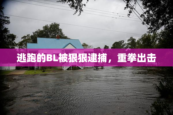 逃跑的BL被狠狠逮捕，重拳出击