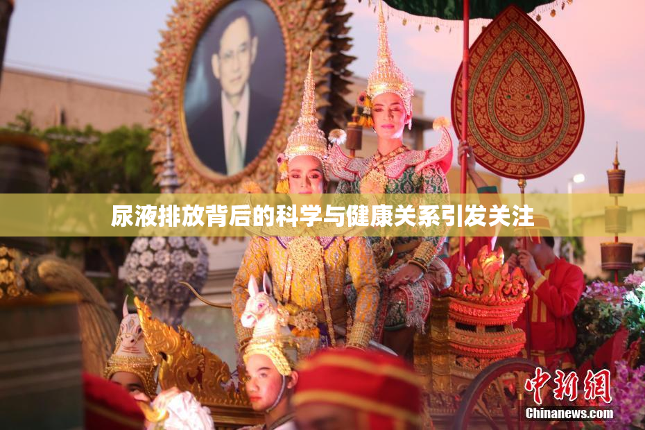 尿液排放背后的科学与健康关系引发关注