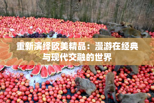 重新演绎欧美精品：漫游在经典与现代交融的世界
