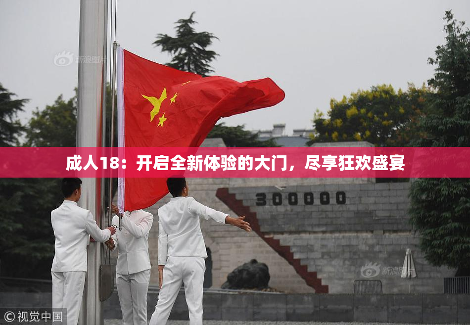 成人18：开启全新体验的大门，尽享狂欢盛宴
