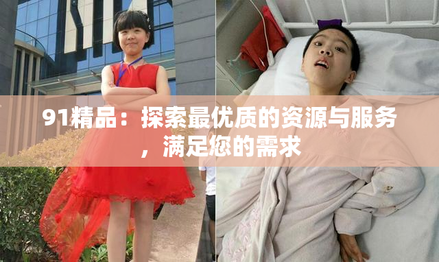 91精品：探索最优质的资源与服务，满足您的需求