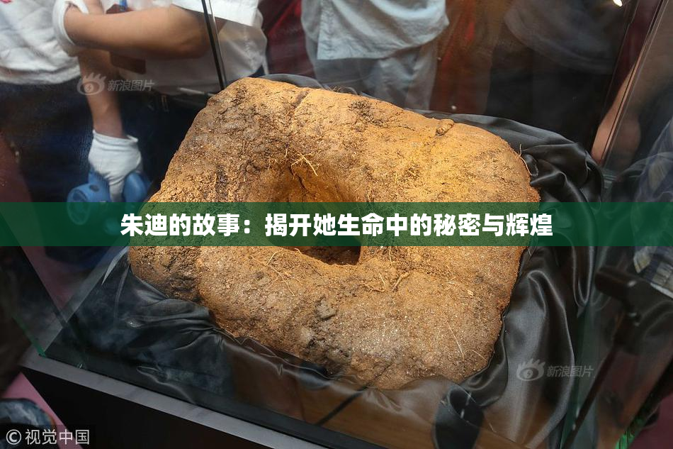 朱迪的故事：揭开她生命中的秘密与辉煌