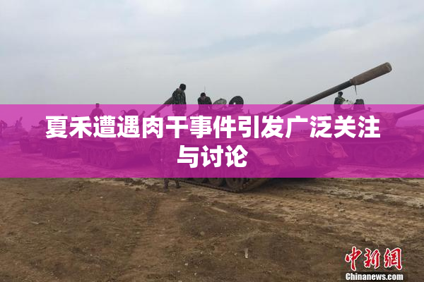 夏禾遭遇肉干事件引发广泛关注与讨论