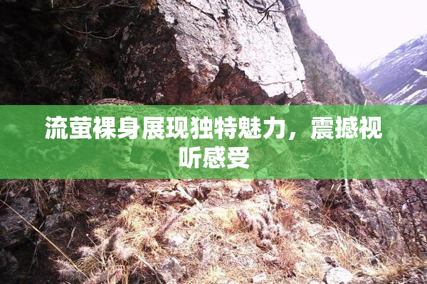 流萤裸身展现独特魅力，震撼视听感受