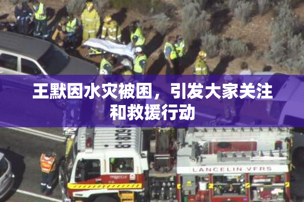 王默因水灾被困，引发大家关注和救援行动