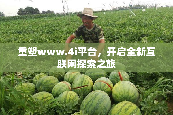 重塑www.4i平台，开启全新互联网探索之旅