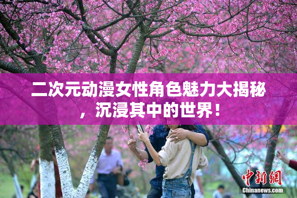 二次元动漫女性角色魅力大揭秘，沉浸其中的世界！
