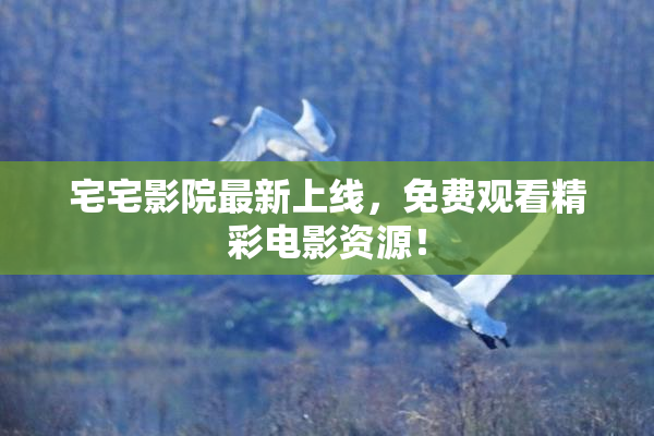 宅宅影院最新上线，免费观看精彩电影资源！