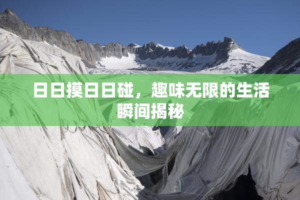 日日摸日日碰，趣味无限的生活瞬间揭秘