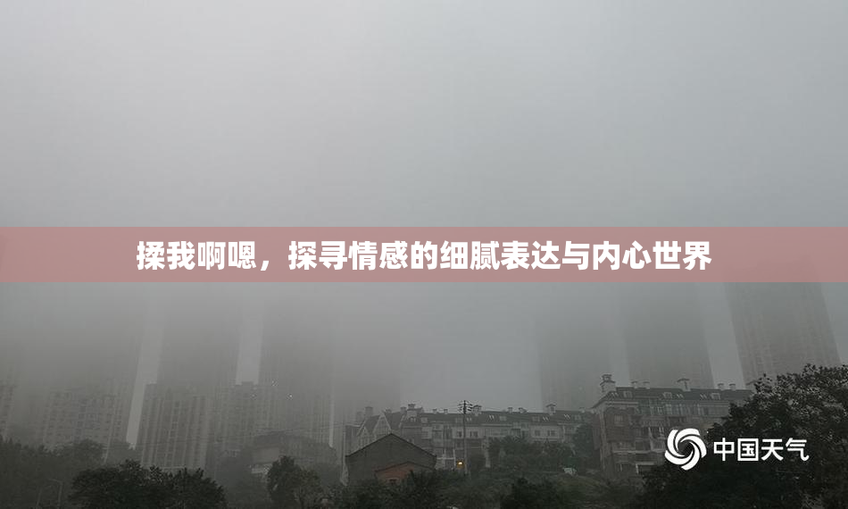 揉我啊嗯，探寻情感的细腻表达与内心世界