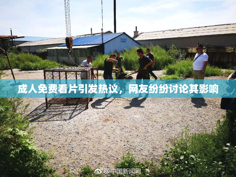 成人免费看片引发热议，网友纷纷讨论其影响
