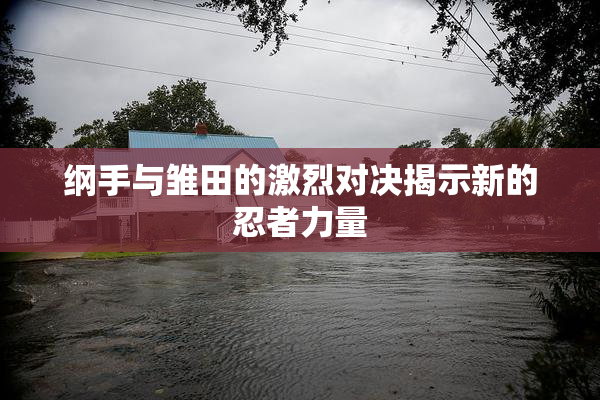 纲手与雏田的激烈对决揭示新的忍者力量