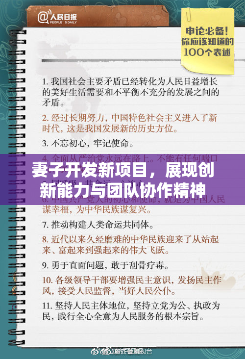 妻子开发新项目，展现创新能力与团队协作精神