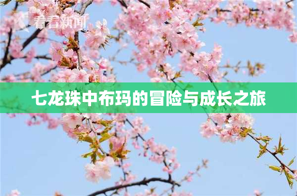 七龙珠中布玛的冒险与成长之旅