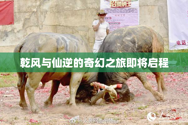 乾风与仙逆的奇幻之旅即将启程