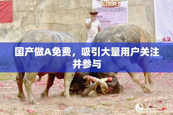 国产做A免费，吸引大量用户关注并参与