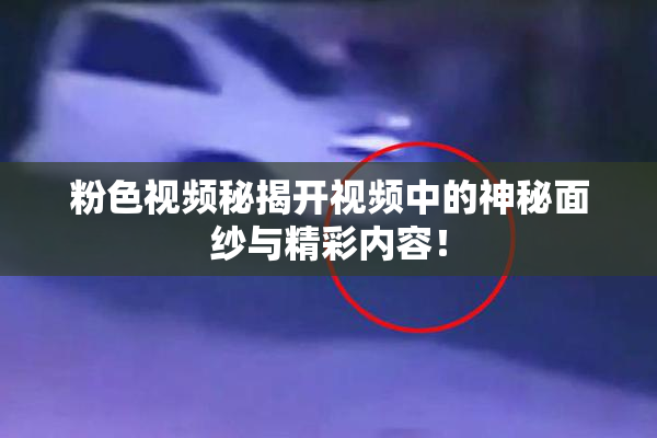 粉色视频秘揭开视频中的神秘面纱与精彩内容！