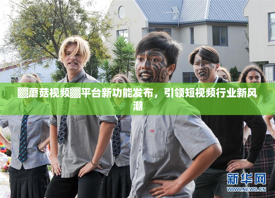 ▓蘑菇视频▓平台新功能发布，引领短视频行业新风潮