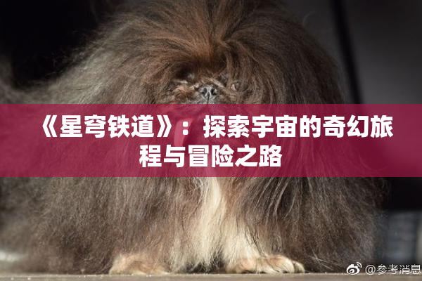 《星穹铁道》：探索宇宙的奇幻旅程与冒险之路