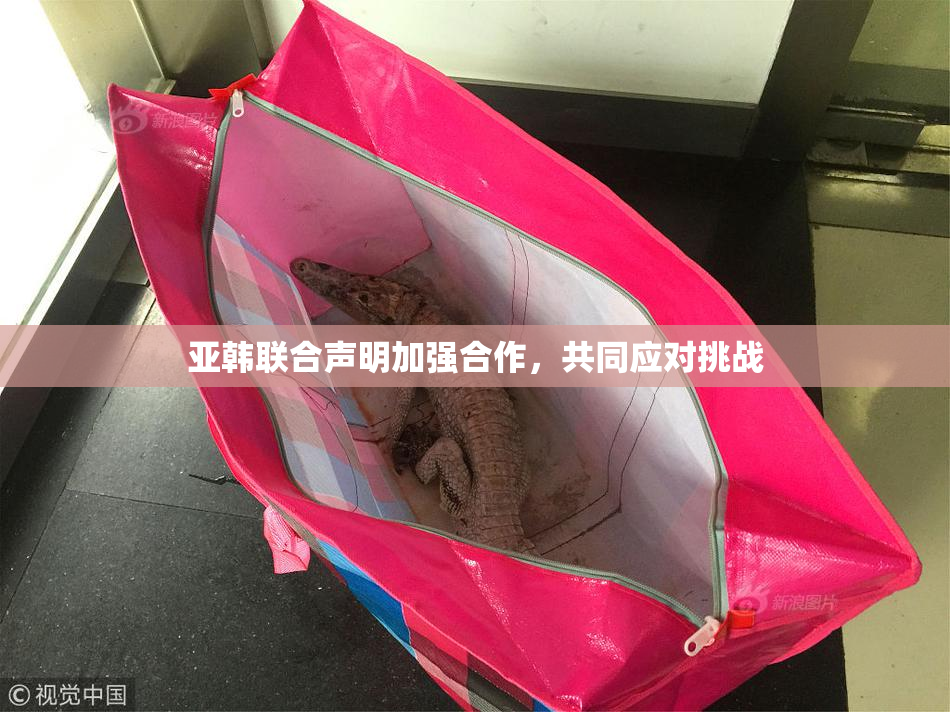 亚韩联合声明加强合作，共同应对挑战
