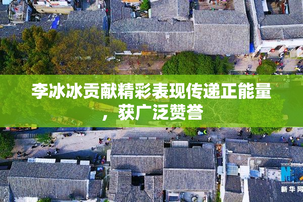 李冰冰贡献精彩表现传递正能量，获广泛赞誉