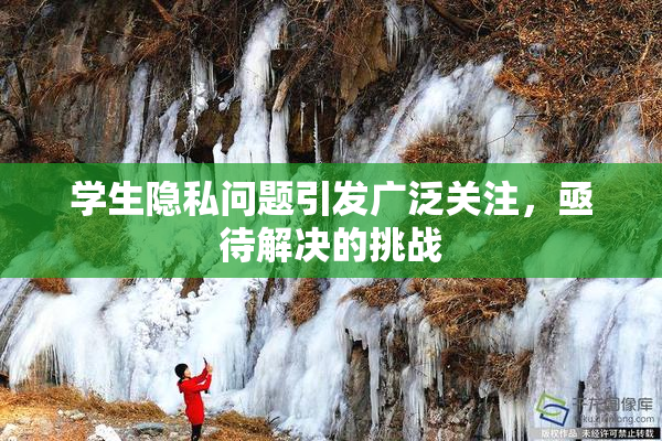 学生隐私问题引发广泛关注，亟待解决的挑战