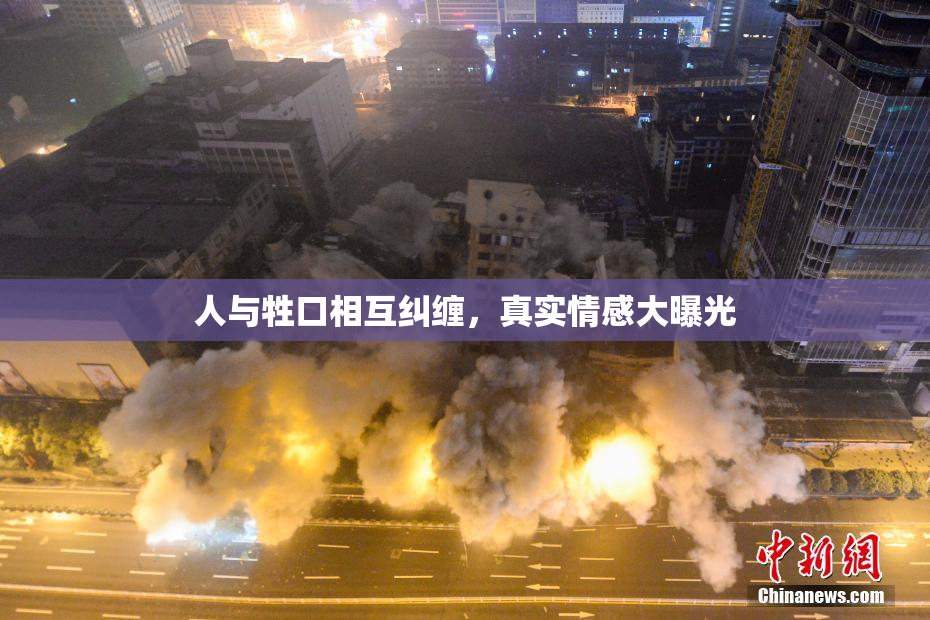 人与牲口相互纠缠，真实情感大曝光
