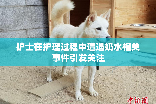 护士在护理过程中遭遇奶水相关事件引发关注