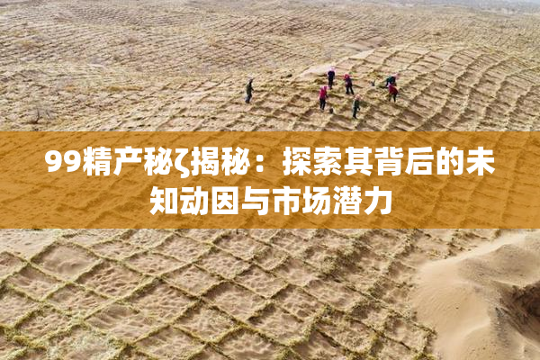 99精产秘ζ揭秘：探索其背后的未知动因与市场潜力