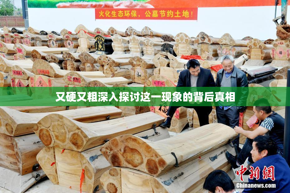 又硬又粗深入探讨这一现象的背后真相