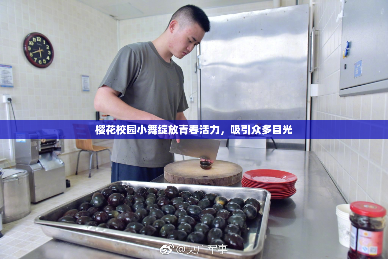 樱花校园小舞绽放青春活力，吸引众多目光