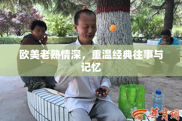 欧美老熟情深，重温经典往事与记忆