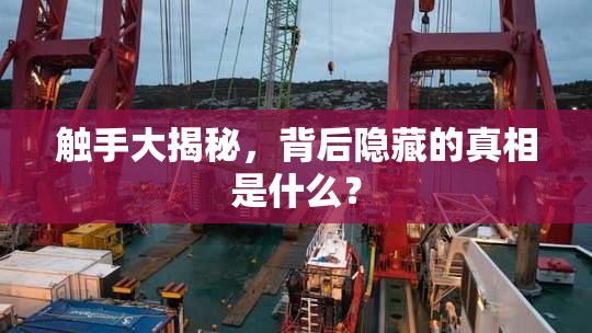 触手大揭秘，背后隐藏的真相是什么？